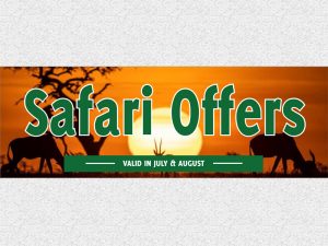 Safari Offers