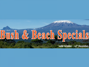 Bush & Beach Specials