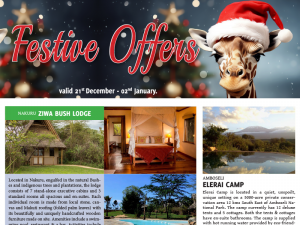 Festive Offers