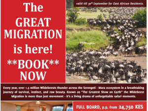 The Great Migration is HERE!